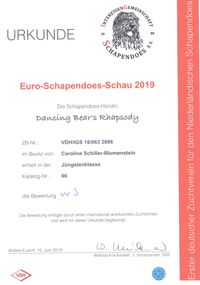 2019 Euro-Schapendoes-Schau Alsfeld (Elli)_000
